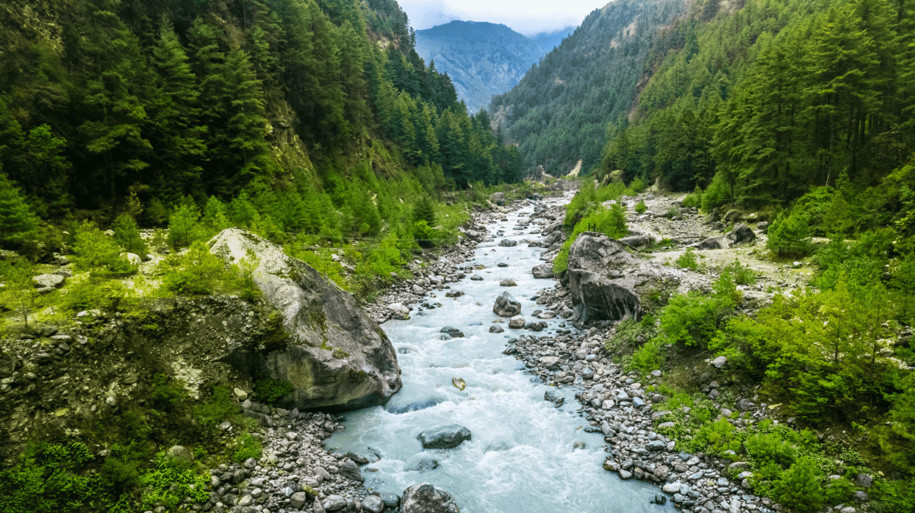 Adherent (formerly Compliance & Risks). From Complexity to Clarity EFRAG’s Proposed Simplification of European Sustainability Reporting Standards (ESRS)