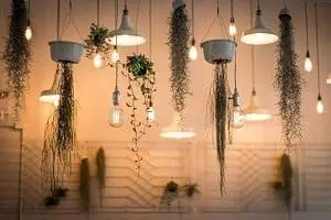 Adherent (formerly Compliance & Risks). Numerous hanging plants and warm pendant lights are suspended from the ceiling against a light wall.