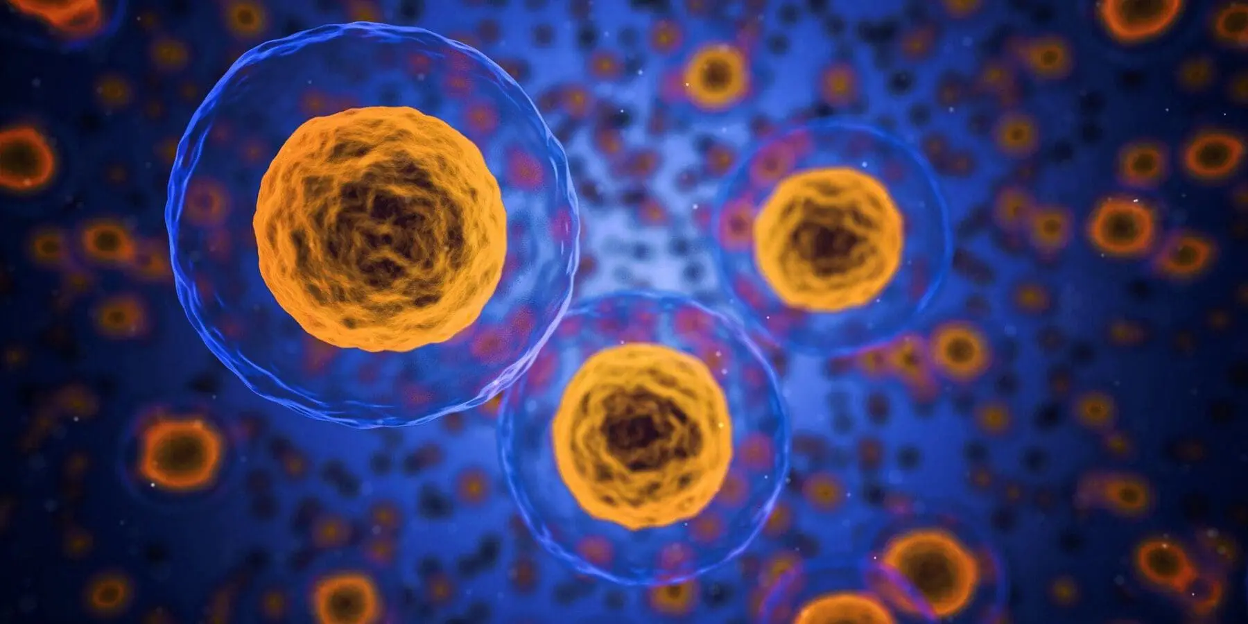 Adherent (formerly Compliance & Risks). Microscopic image of multiple cells with translucent blue outer membranes and textured orange-yellow nuclei against a dark blue background.