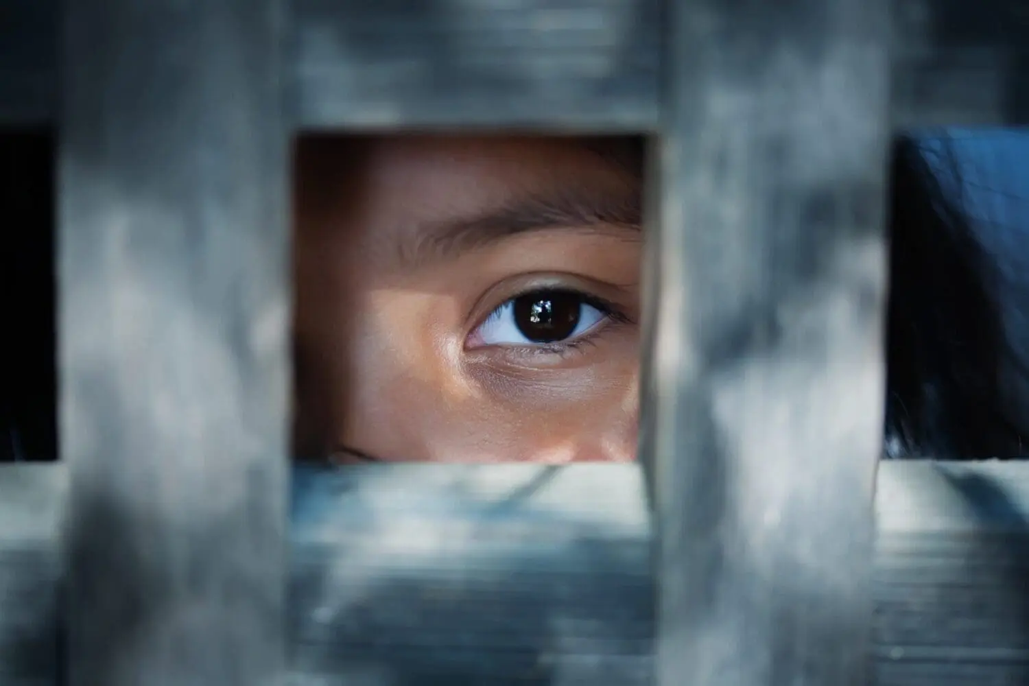 Adherent (formerly Compliance & Risks). A close-up of a dark brown eye looking through a rectangular opening in blurred wooden slats.