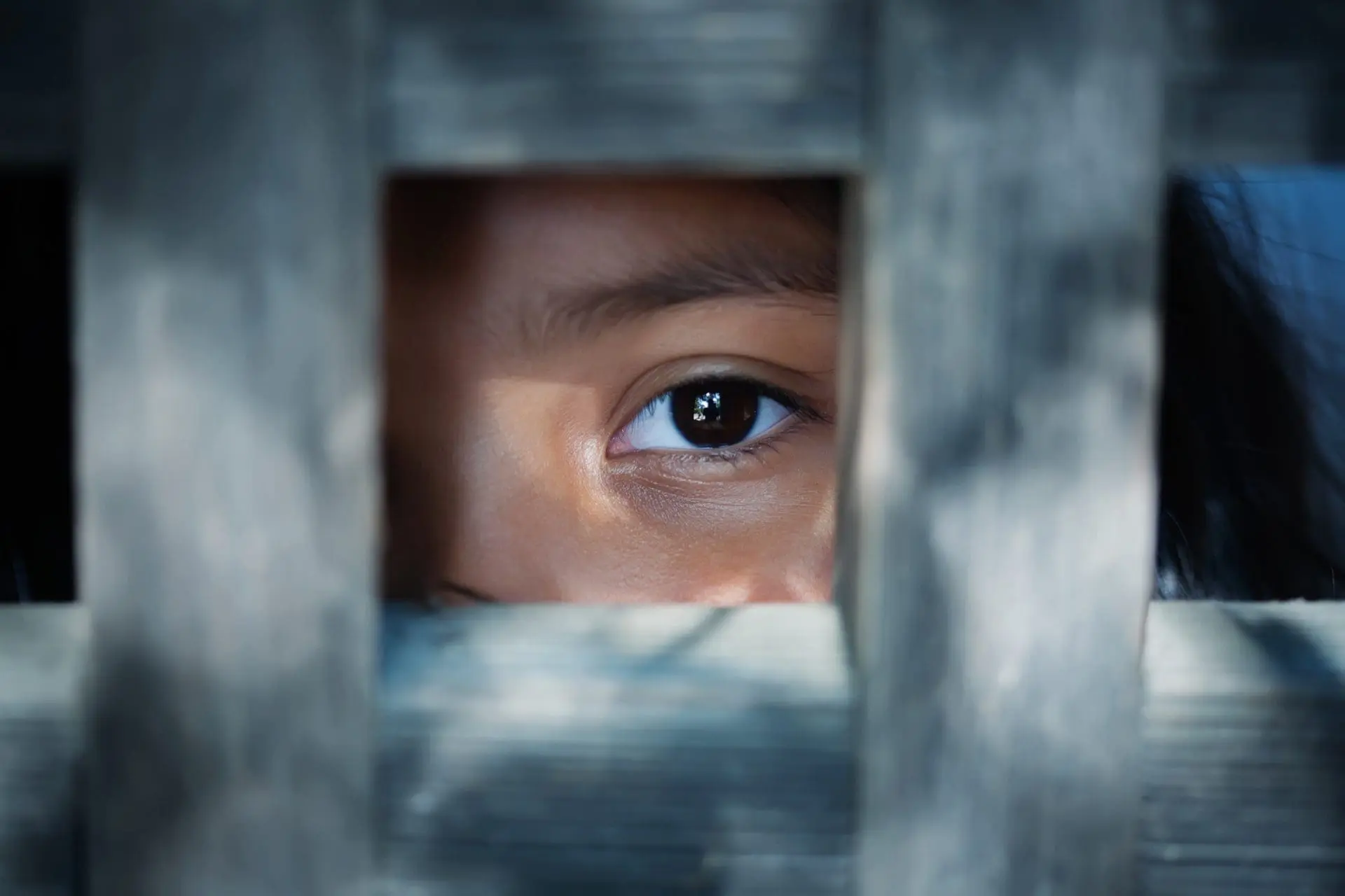 Adherent (formerly Compliance & Risks). A close-up of a dark brown eye looking through a rectangular opening in blurred wooden slats.