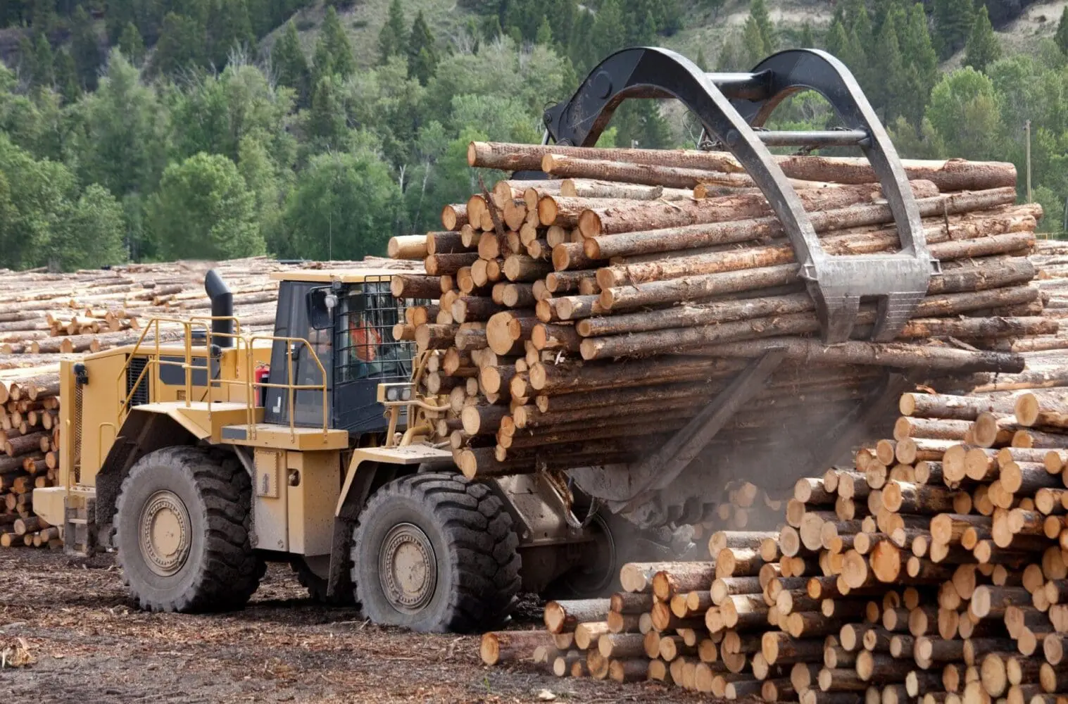 Adherent (formerly Compliance & Risks). A large yellow logging machine with a black grapple lifts a huge pile of cut logs in a timber yard, with more logs stacked on the ground and a forest in the background.