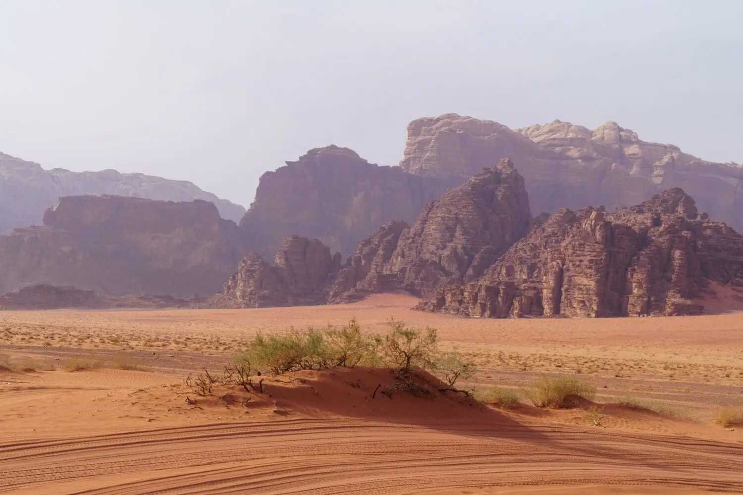 Adherent (formerly Compliance & Risks). Desert landscape with red sand dunes, sparse green shrubs, and large, layered rock formations under a hazy sky.