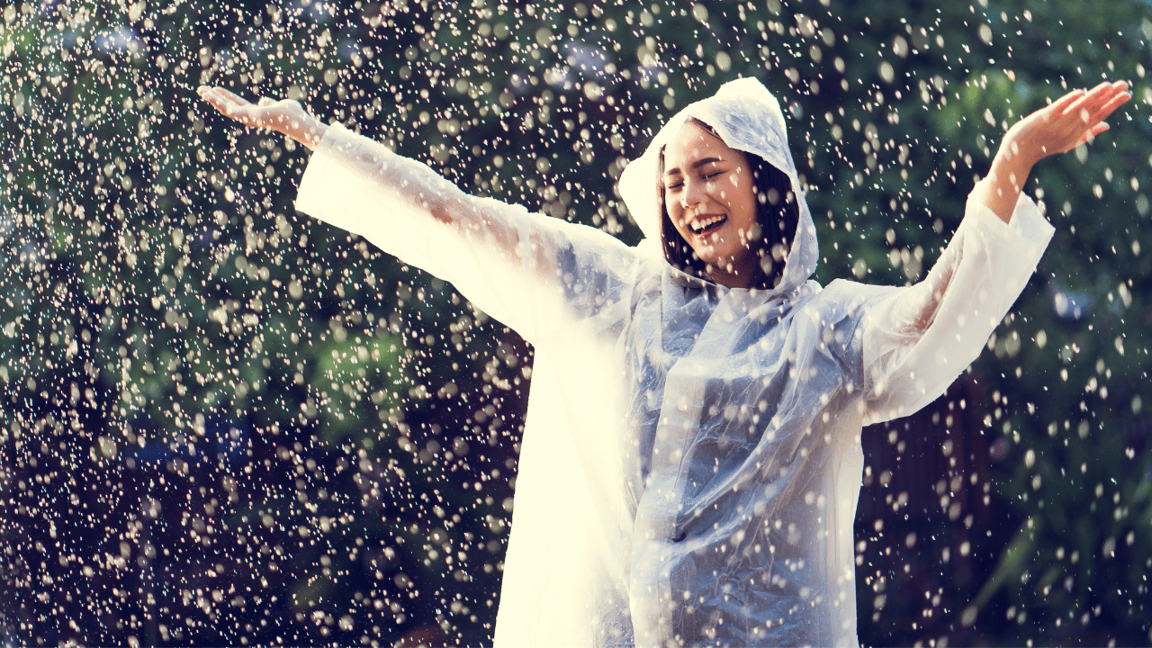 Adherent (formerly Compliance & Risks). Build An Adult Raincoat - Compliance Cheat Sheet