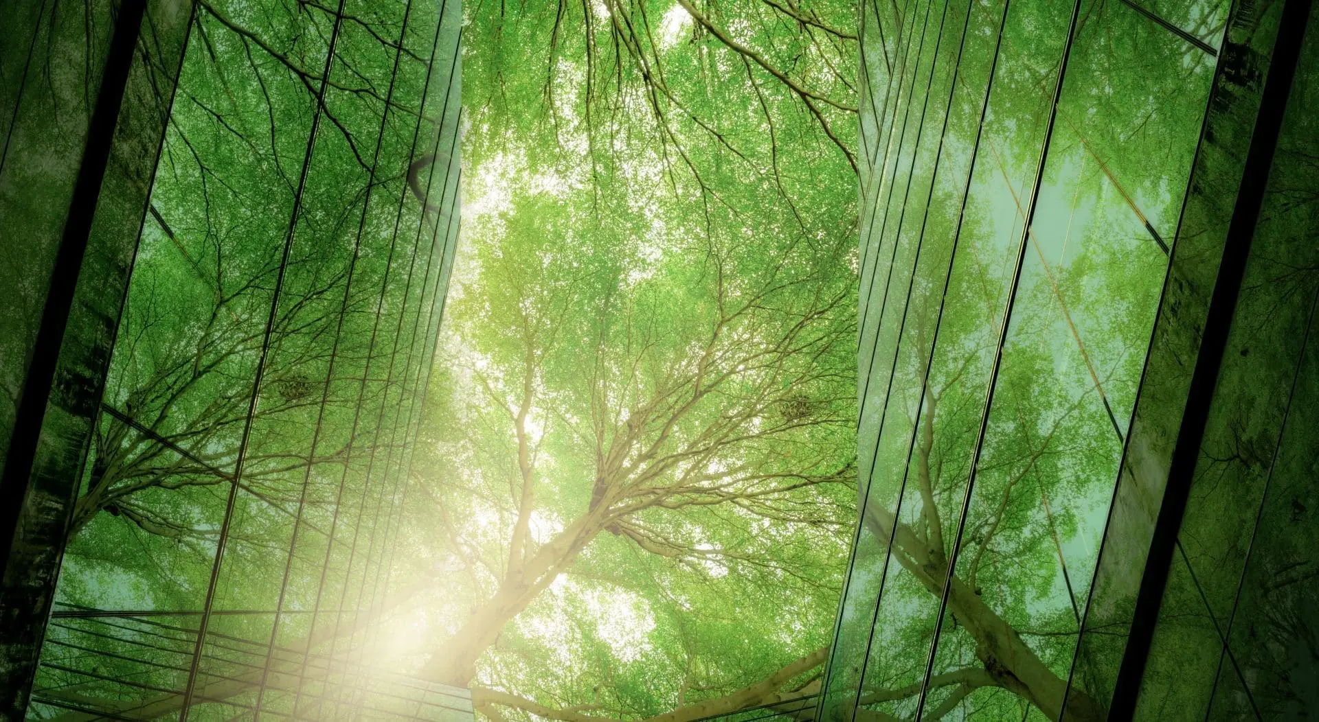 Asia’s ESG & Sustainability Landscape: Compliance Essentials for 2025
