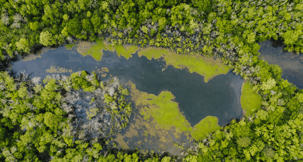 Adherent (formerly Compliance & Risks). Australia's Mandatory Climate-related Disclosures
