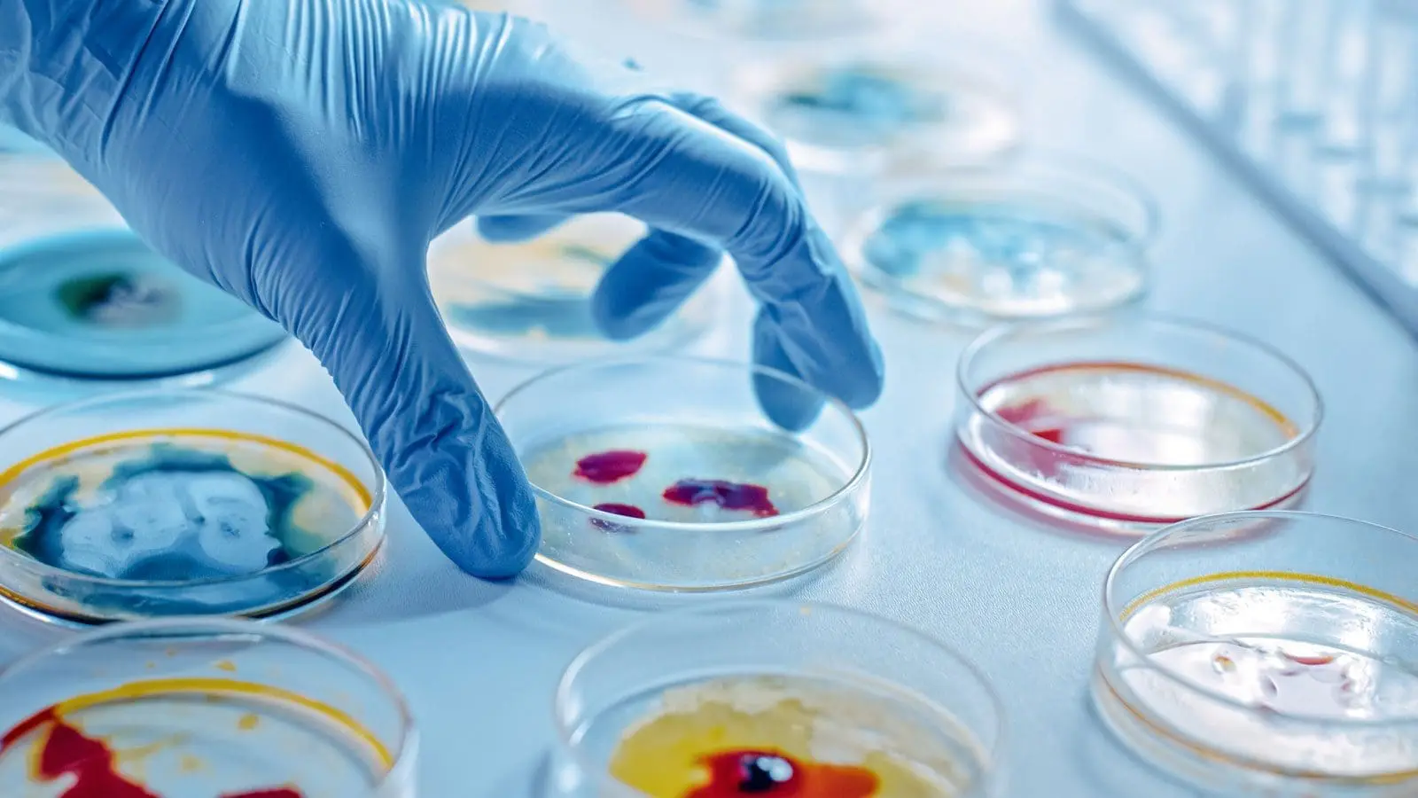 Adherent (formerly Compliance & Risks). A blue-gloved hand holds a petri dish containing red samples, with other petri dishes visible on a lab bench.