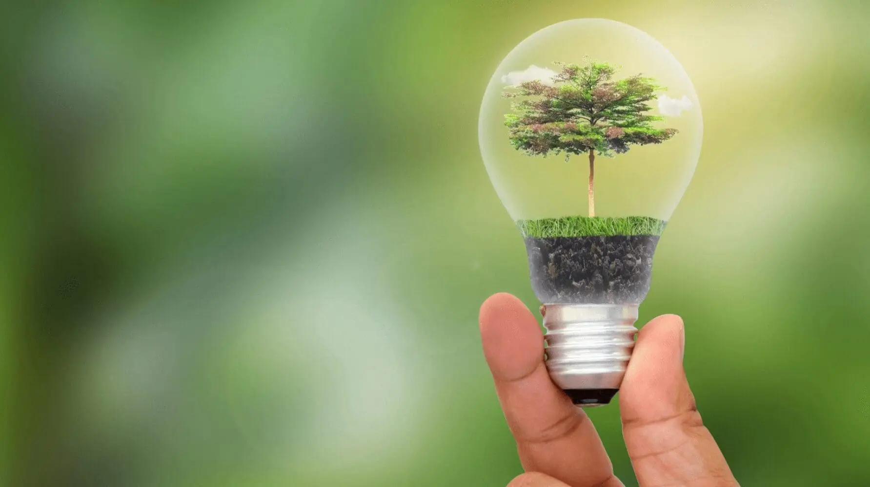 Adherent (formerly Compliance & Risks). EU Commission approves new Ecodesign Standby Regulation