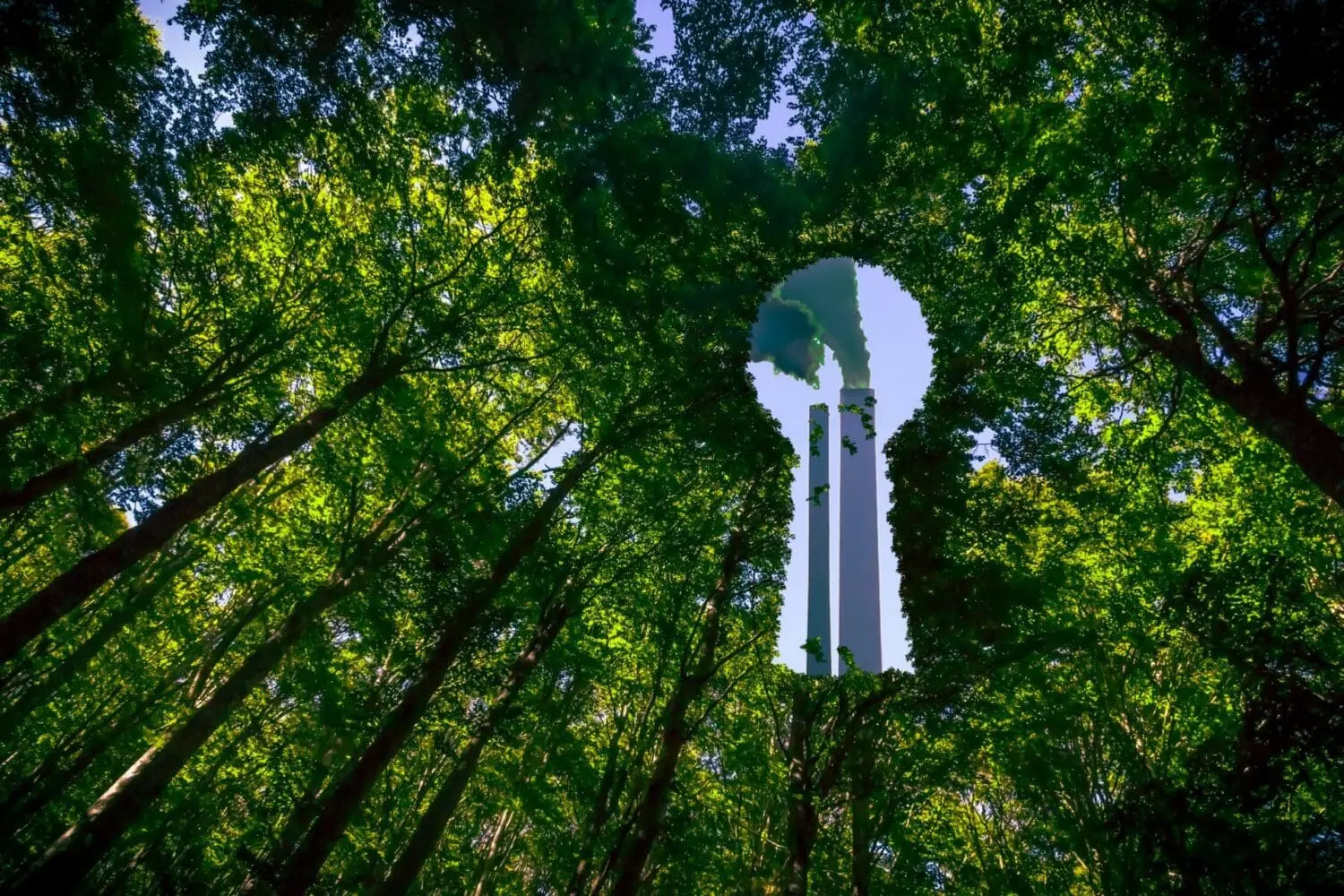 Adherent (formerly Compliance & Risks). Environmental Claims and Legal Liabilities: A Deep Dive into Anti-Greenwashing Regulations