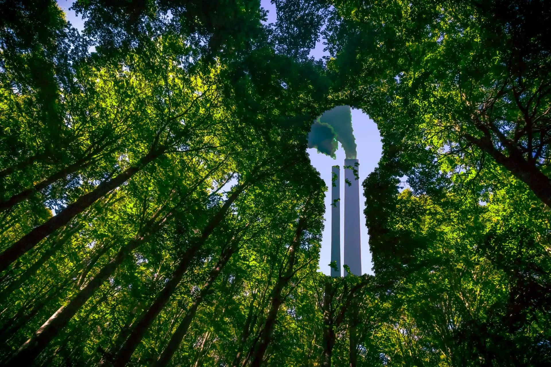 Environmental Claims and Legal Liabilities: A Deep Dive into Anti-Greenwashing Regulations