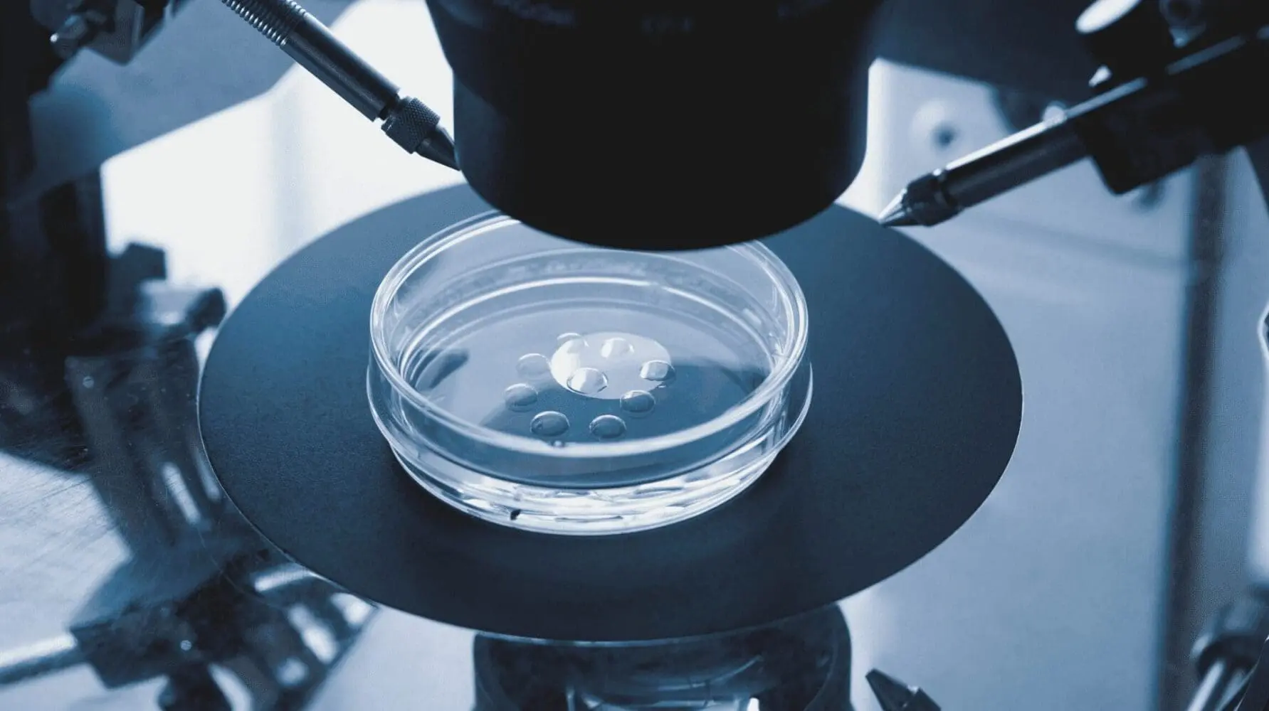 Adherent (formerly Compliance & Risks). A petri dish with clear liquid droplets under a microscope, flanked by metallic micro-manipulation tools on a dark stage.
