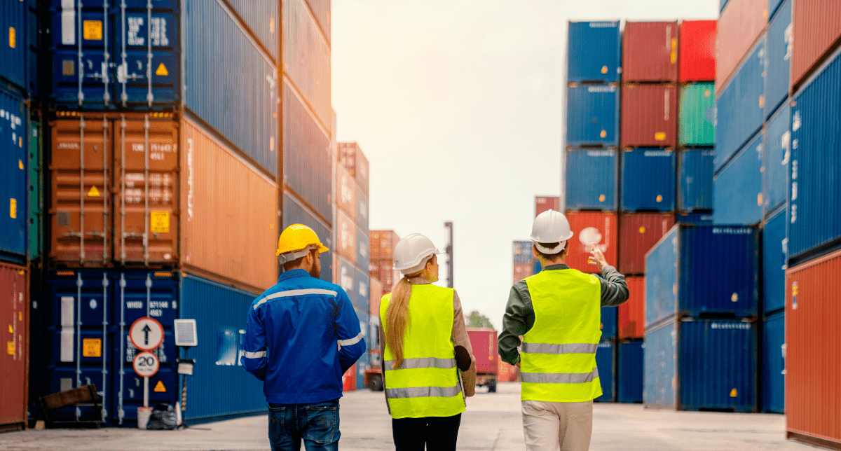 Supply Chain Due Diligence