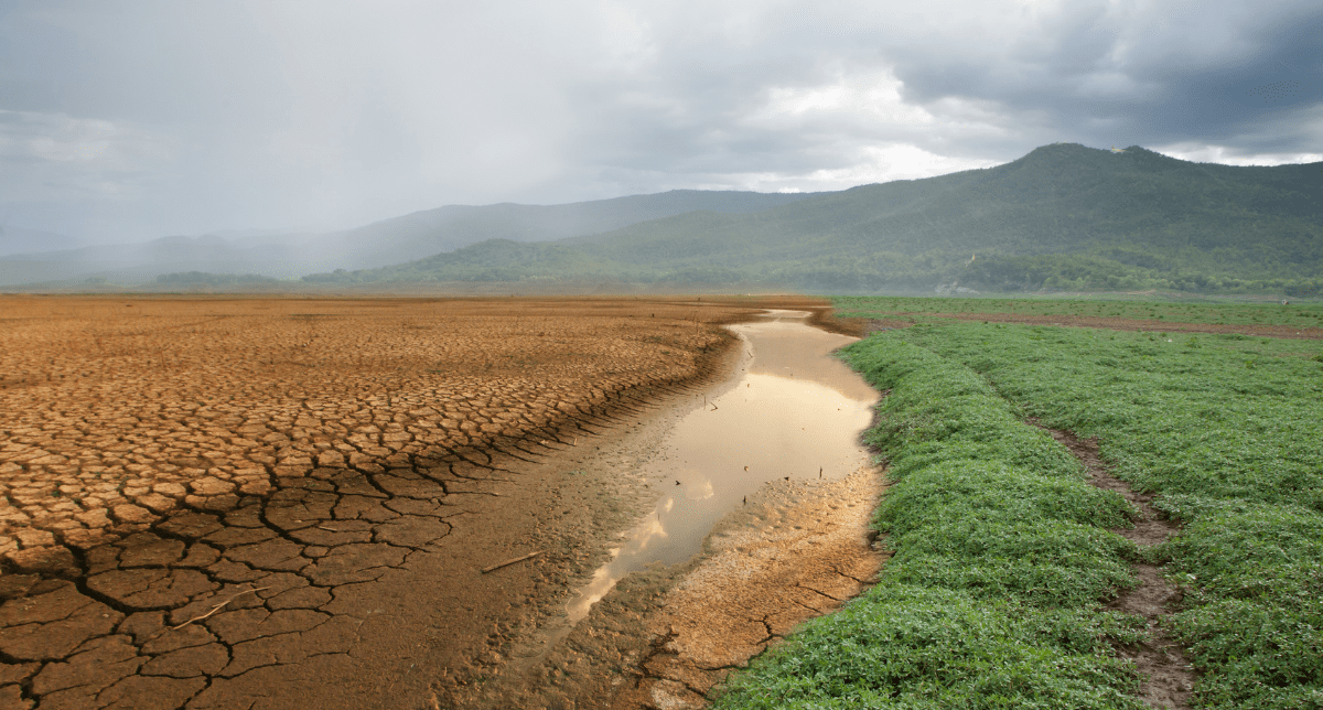 Adherent (formerly Compliance & Risks). California Bills on Climate Disclosure