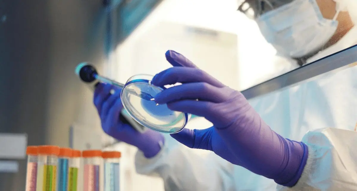 Adherent (formerly Compliance & Risks). Chemicals Quarterly Q3 2022 Webinar