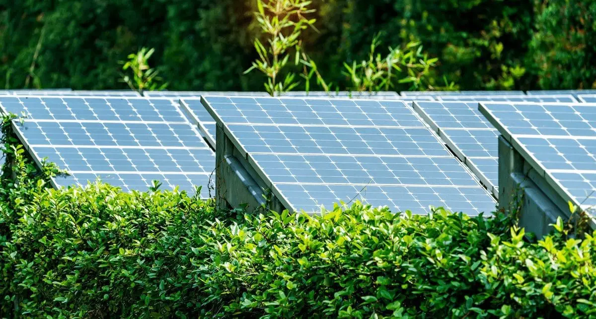 The End of Greenwashing? Limits and Opportunities of the Corporate Sustainability Reporting Directive