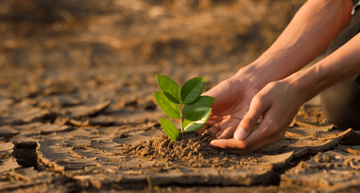 Adherent (formerly Compliance & Risks). US SEC Finalizes Climate Disclosures Rule