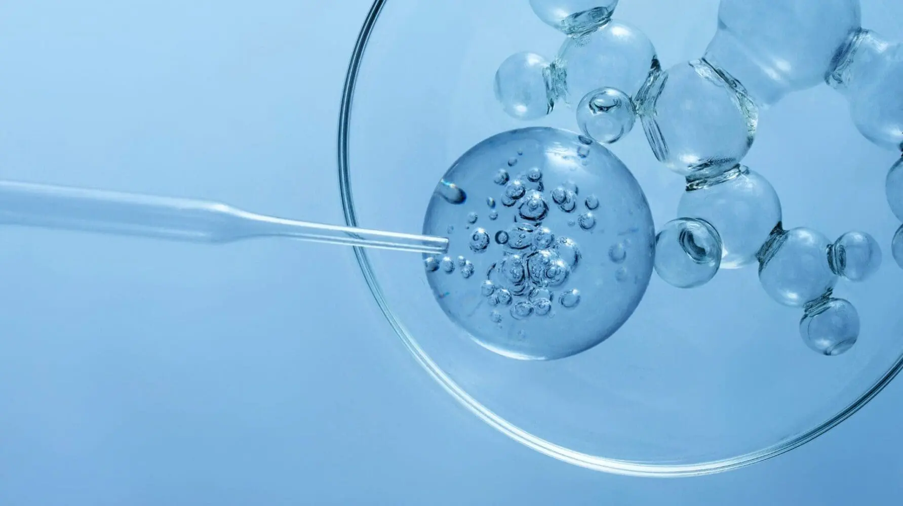 Adherent (formerly Compliance & Risks). Q4 2025 Global Chemical Regulatory Update by Substance: PFAS, Mercury, POPs and More