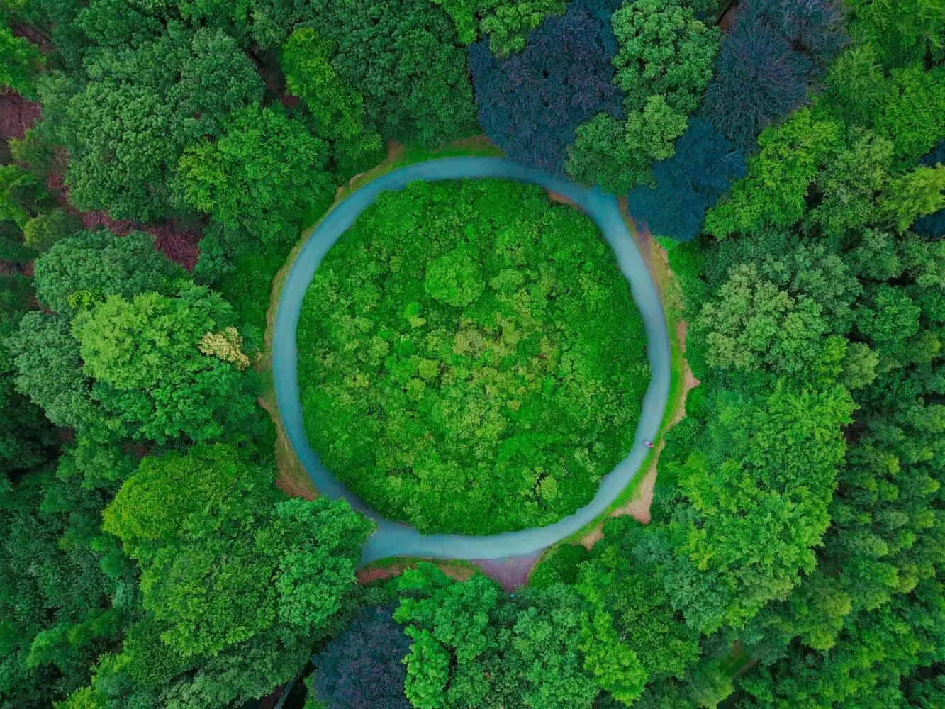 Adherent (formerly Compliance & Risks). Aerial view of a circular road surrounded by dense green forest, with a person on the road.