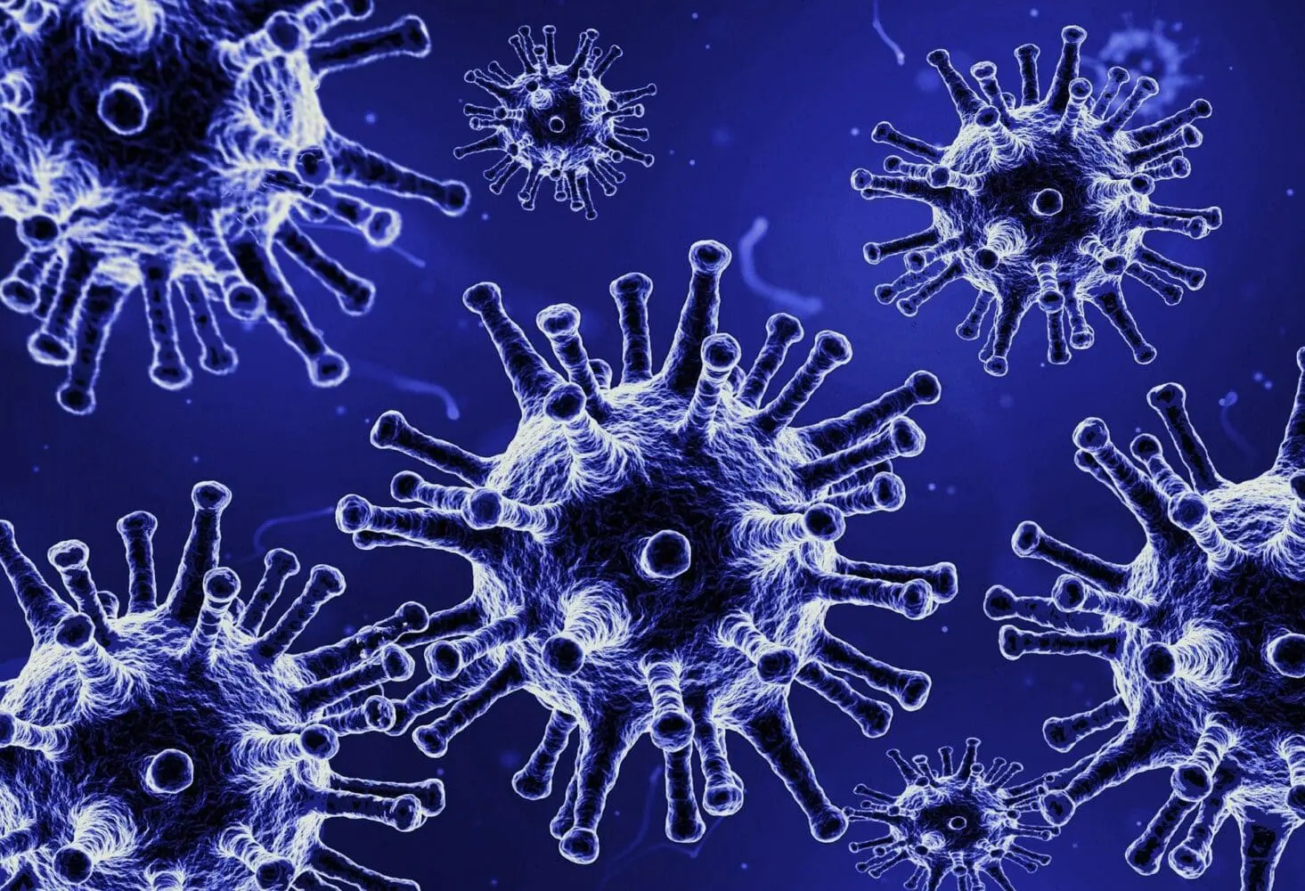 Adherent (formerly Compliance & Risks). Illustration of multiple blue and white virus particles with spiky surfaces against a dark blue background.