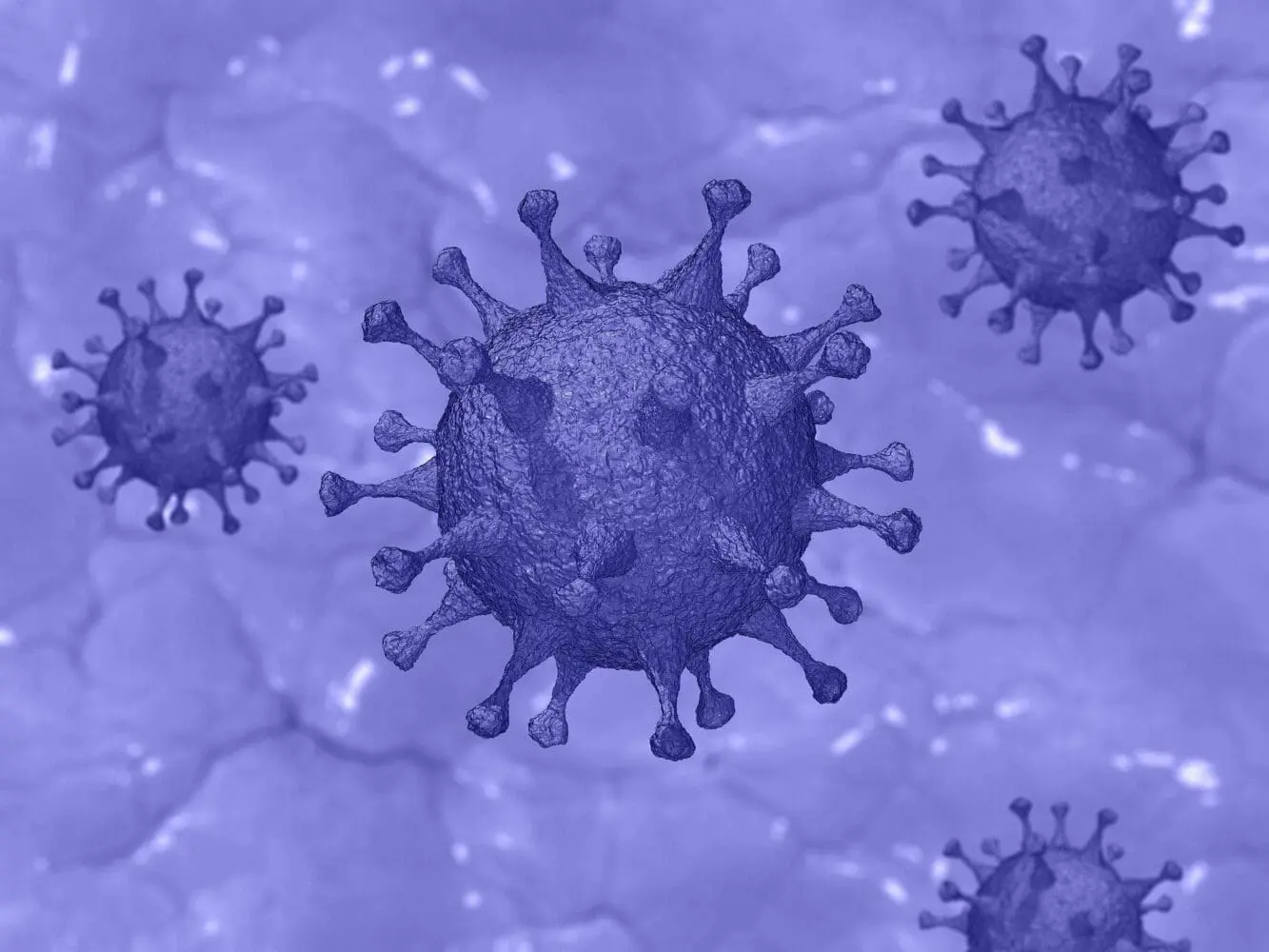 Adherent (formerly Compliance & Risks). Digital rendering of multiple purple, spiky virus-like particles against a blurred purple background.