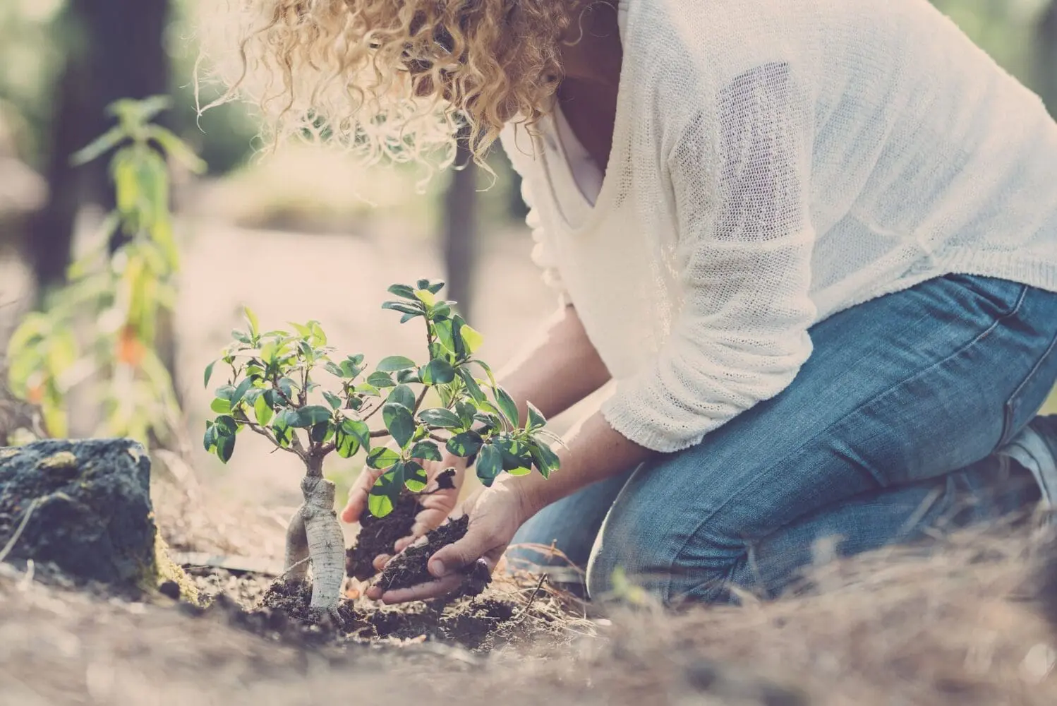 Adherent (formerly Compliance & Risks). Environment and care for the planet and nature