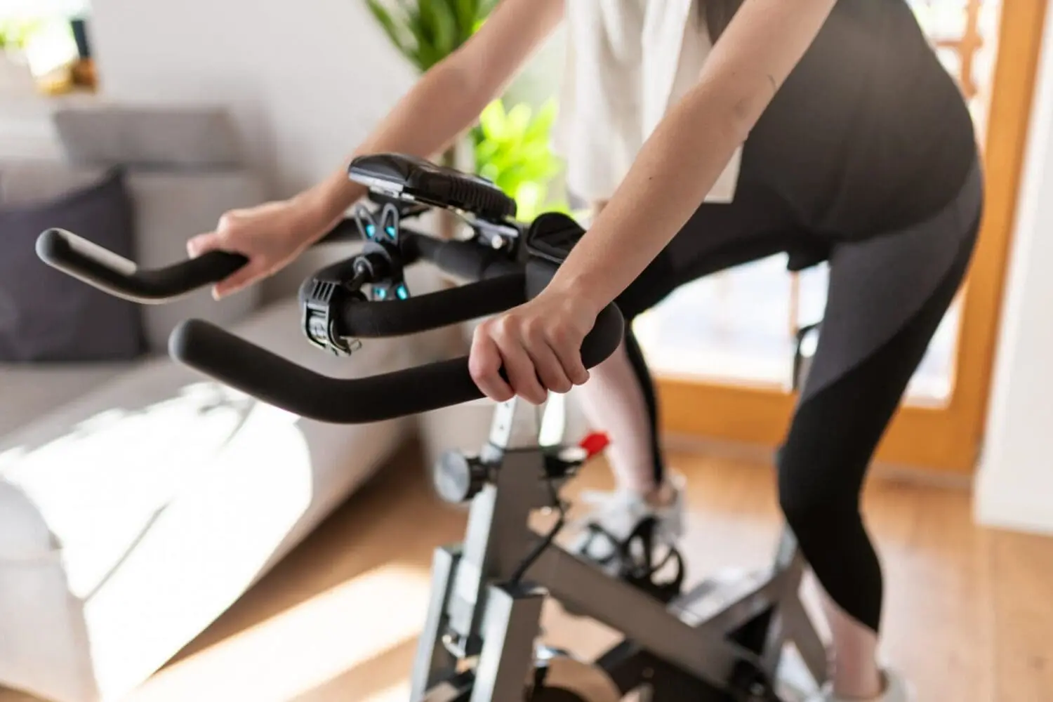 Adherent (formerly Compliance & Risks). Regulatory trends in the sporting goods industry 2022