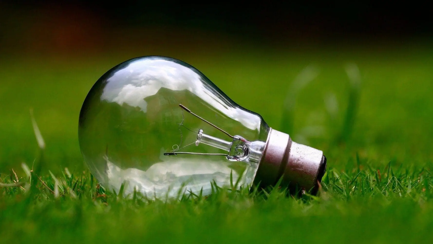 Adherent (formerly Compliance & Risks). A clear incandescent light bulb lies on green grass, reflecting clouds.