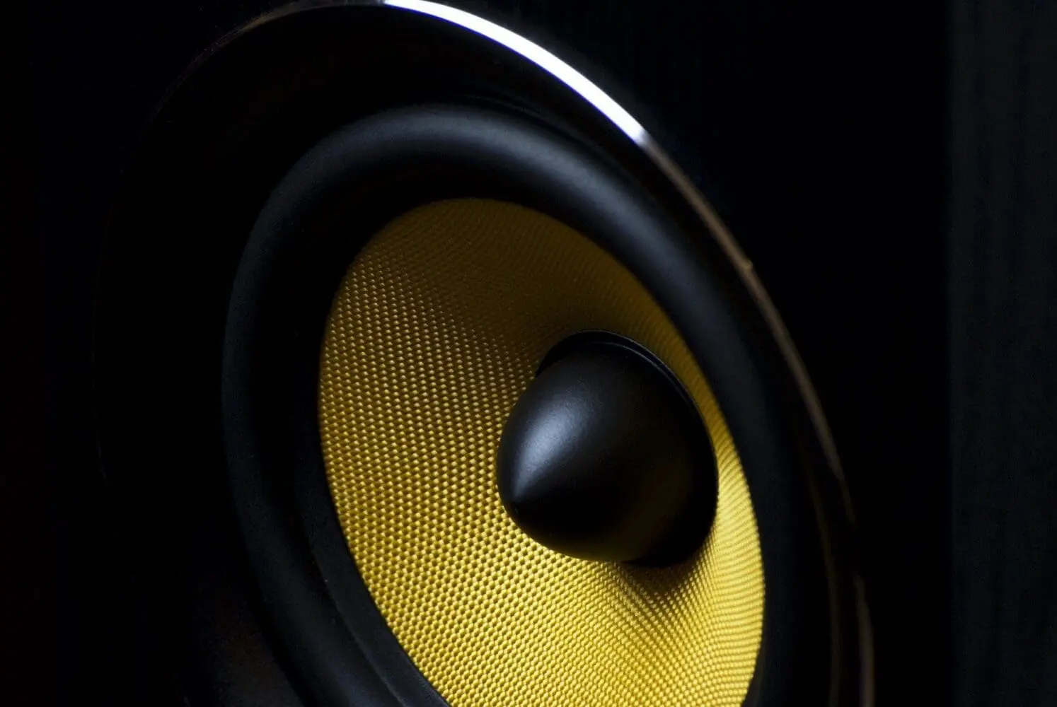Adherent (formerly Compliance & Risks). Close-up of a yellow speaker cone with a black dust cap and black surround.