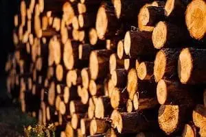 Adherent (formerly Compliance & Risks). A large stack of cut logs, with their light-colored ends illuminated by warm sunlight.