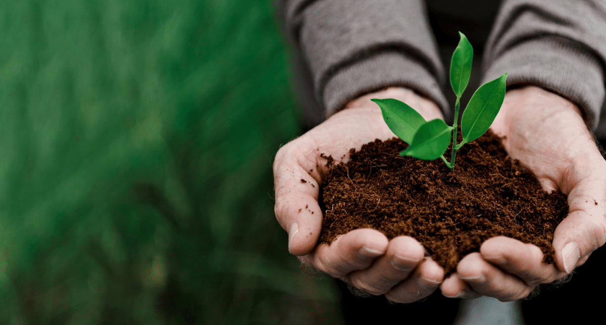ESG in China Advancements to 2030 ESG Roadmap