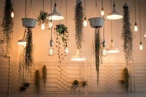 Lights-1