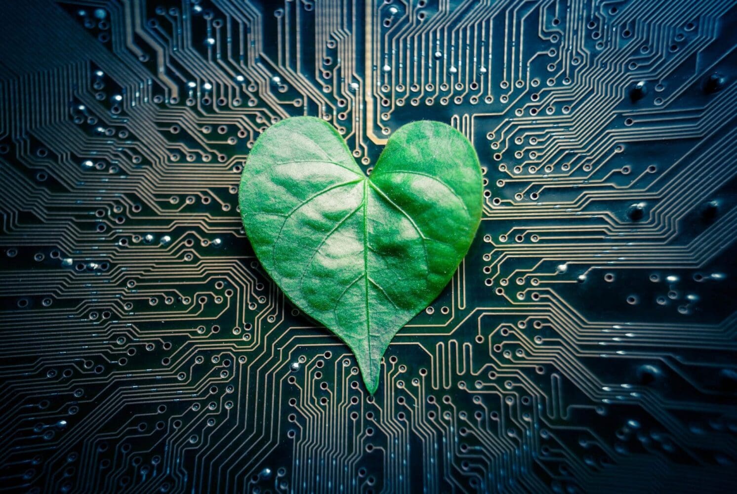 A green heart-shaped leaf placed on a dark circuit board with visible copper traces.