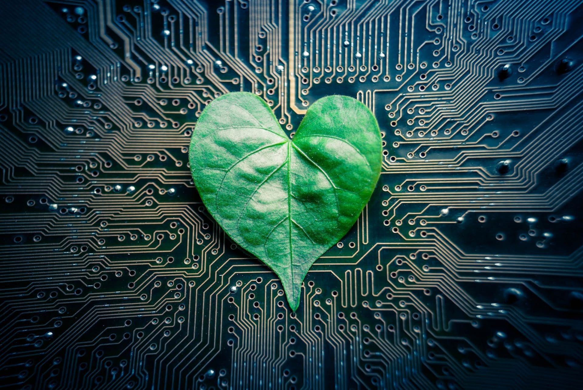A green heart-shaped leaf placed on a dark circuit board with visible copper traces.