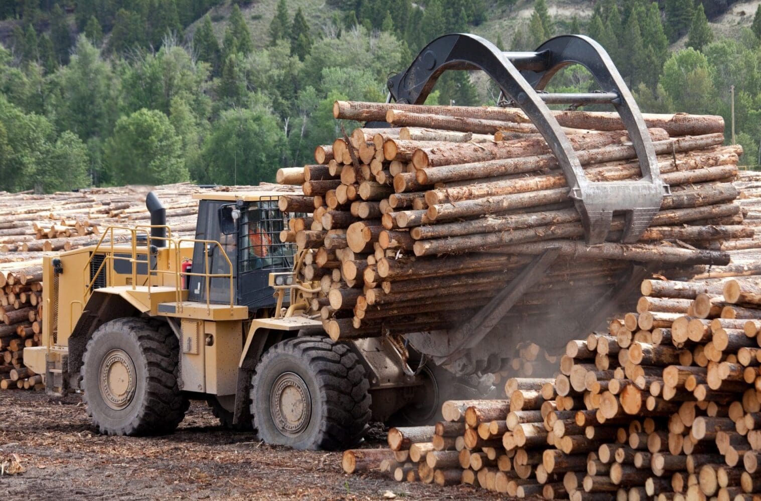 A large yellow logging machine with a black grapple lifts a huge pile of cut logs in a timber yard, with more logs stacked on the ground and a forest in the background.
