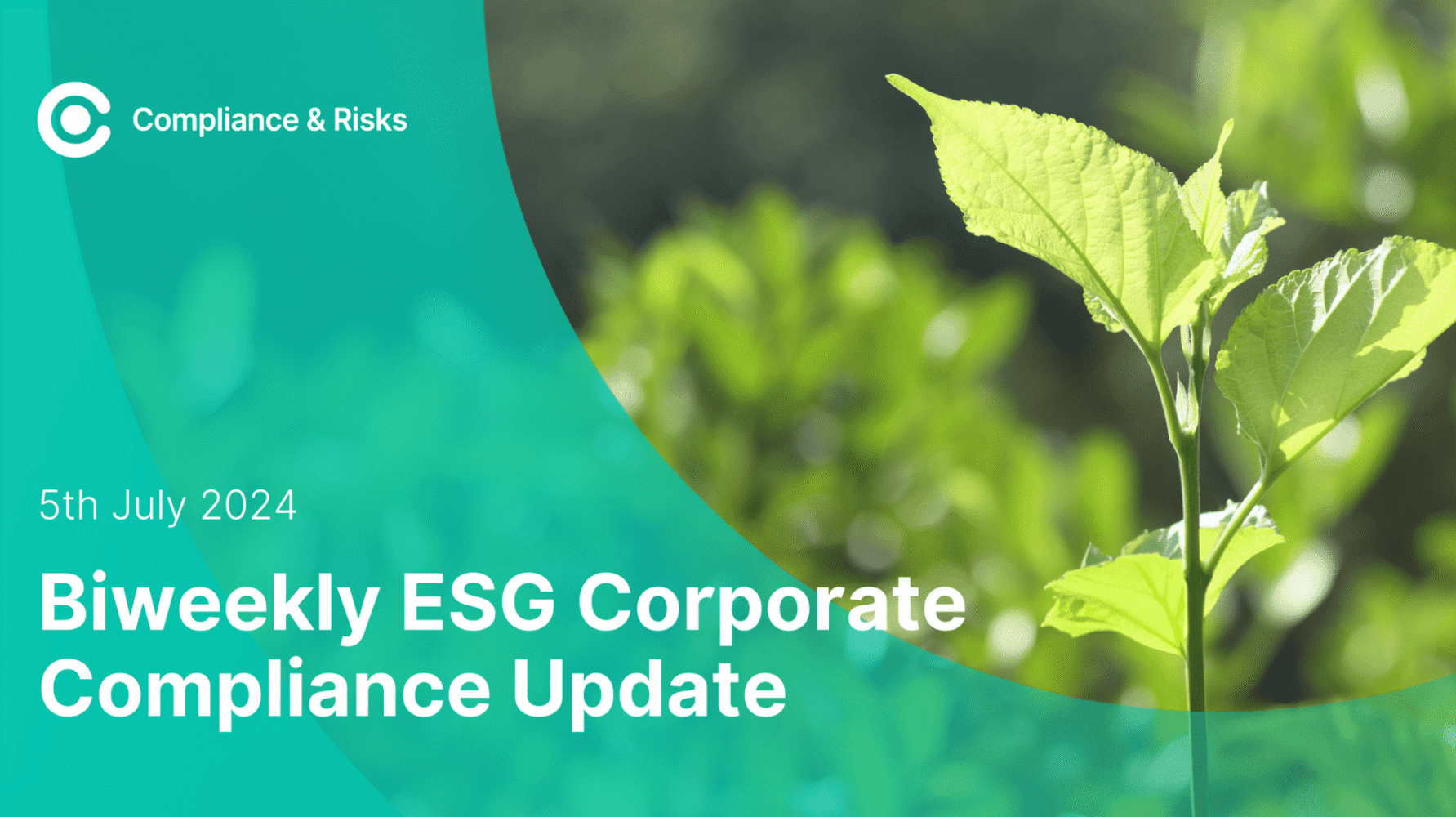 ESG corporate compliance