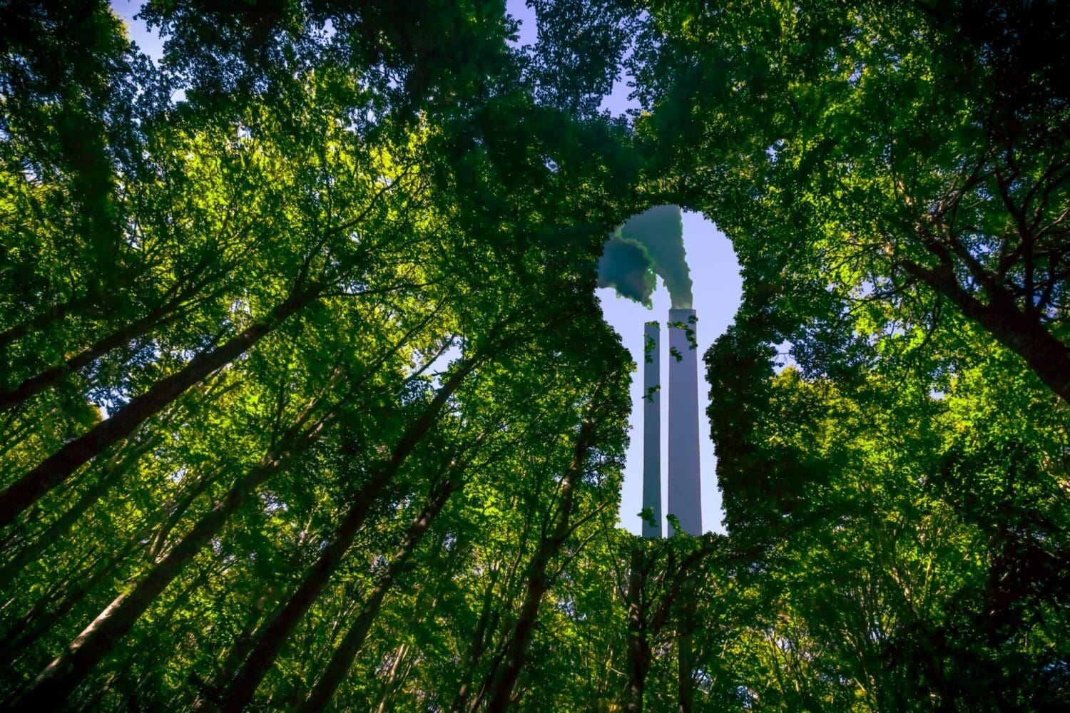 Environmental Claims and Legal Liabilities: A Deep Dive into Anti-Greenwashing Regulations