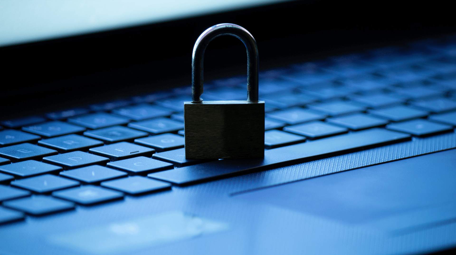 Adherent (formerly Compliance & Risks). Highlights from the Data Protection Day Conference