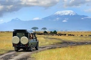 A green safari vehicle on a dirt track in a golden savanna, with a herd of wildebeest and a snow-capped mountain in the background.