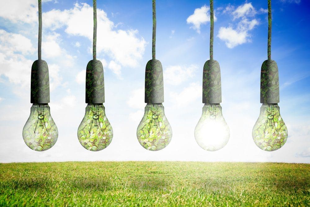 Five lightbulbs with green leaves inside, hanging over a grassy field under a blue sky. One lightbulb is brightly lit.