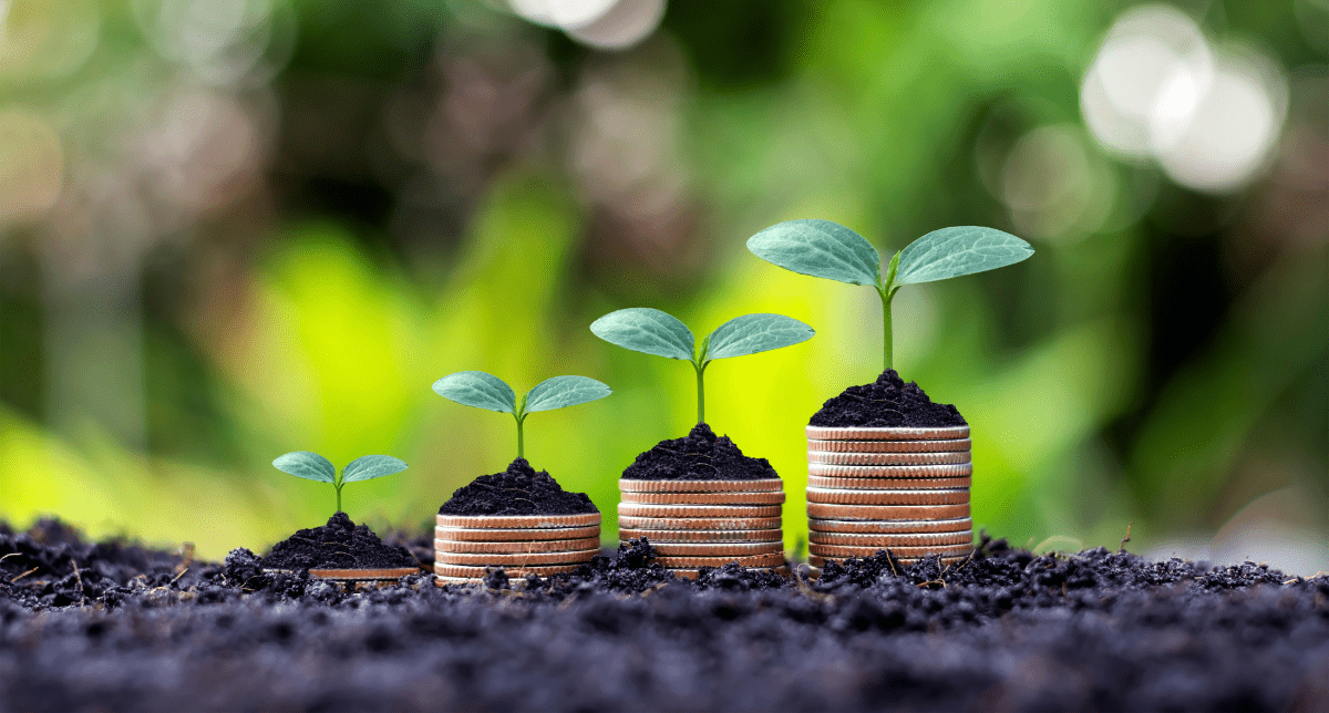 Plants growing on coins - concept for sustainable finance