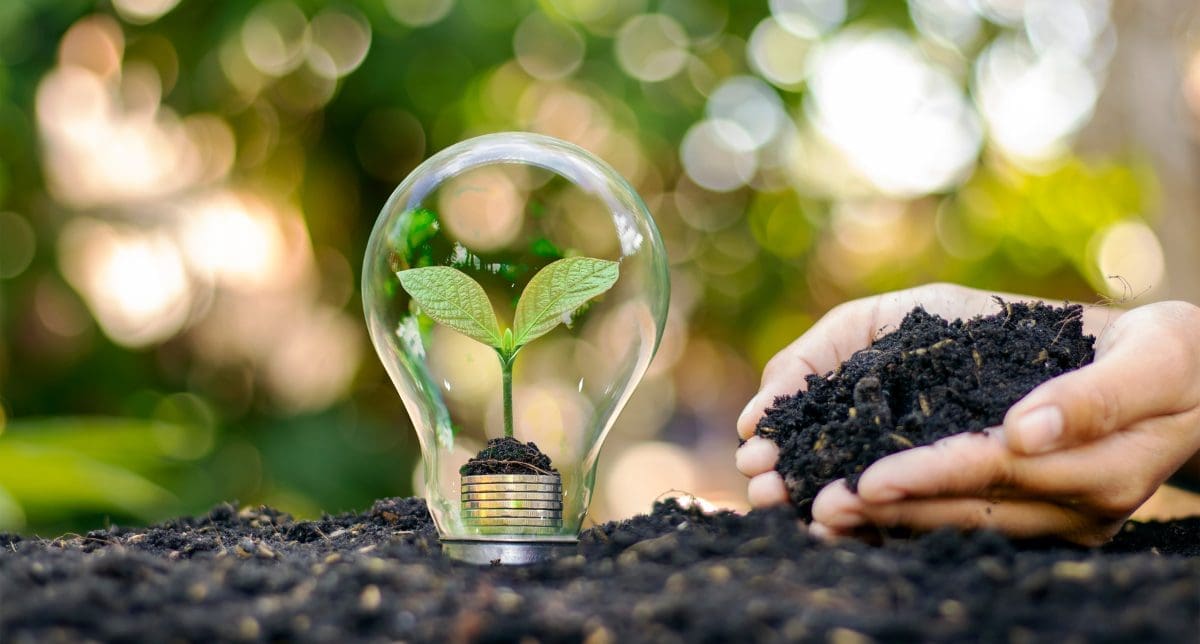 Product & Sustainability Developments in Latin America