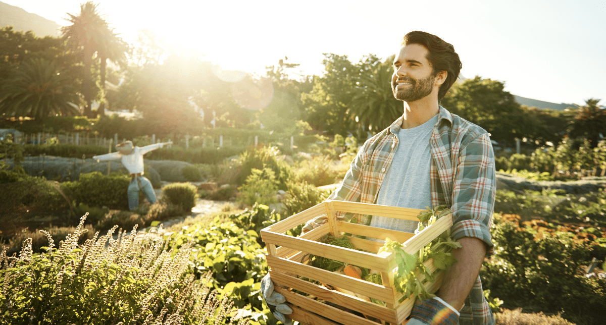 A smiling man in a plaid shirt holds a wooden crate of fresh vegetables in a sunny garden with a scarecrow in the background.