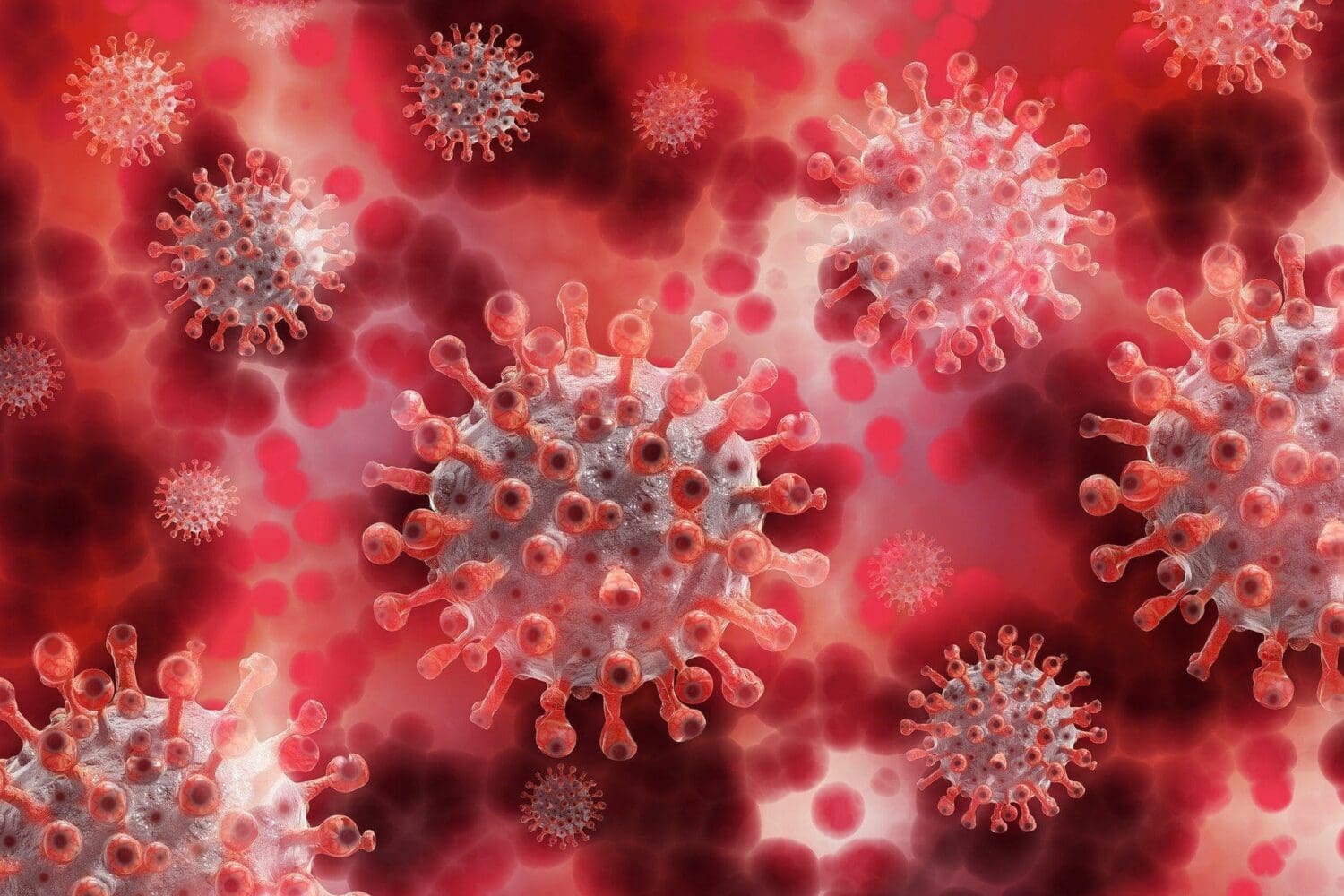 Microscopic illustration of multiple spherical virus particles with spike proteins, against a red background.