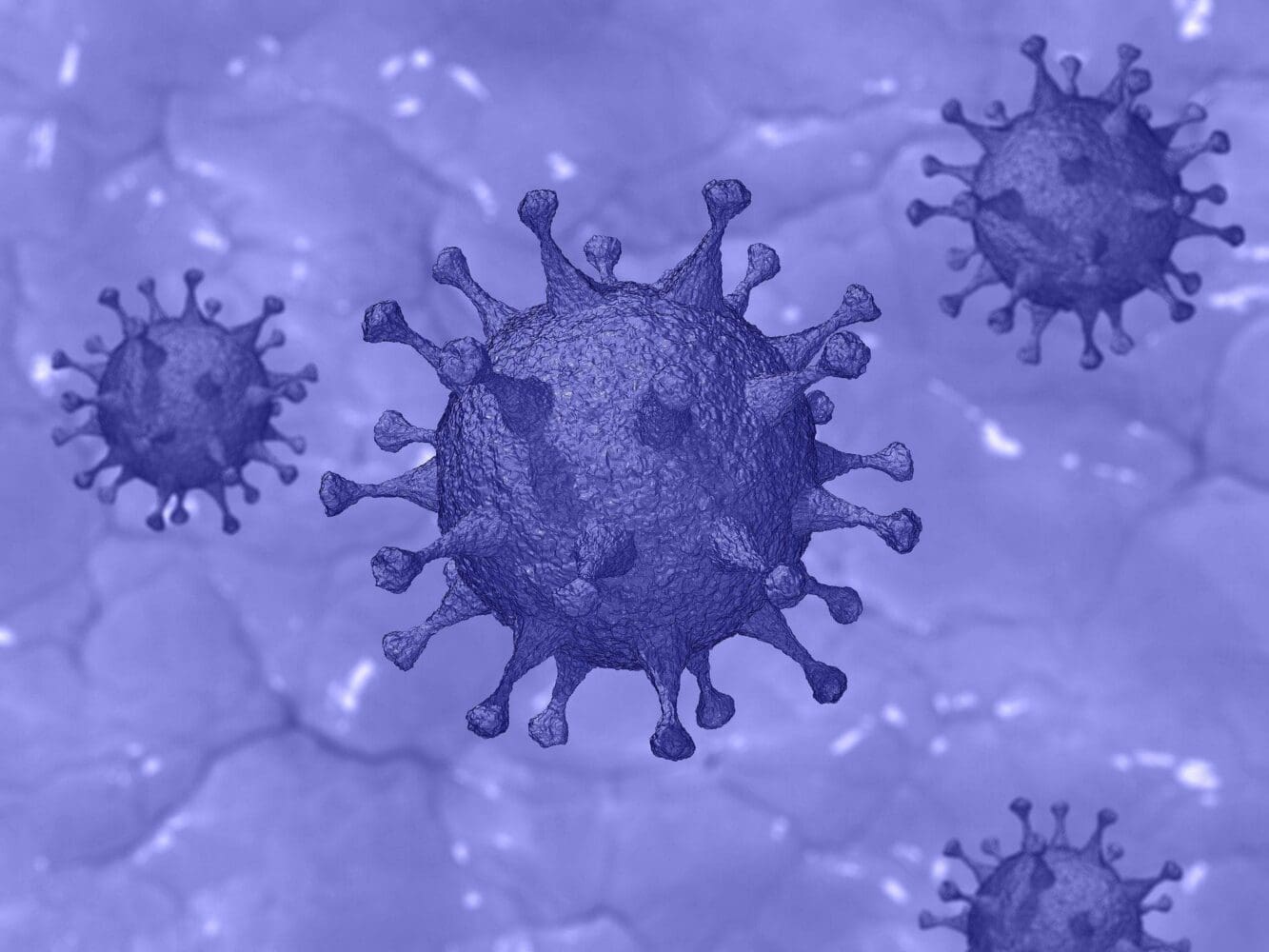 Digital rendering of multiple purple, spiky virus-like particles against a blurred purple background.