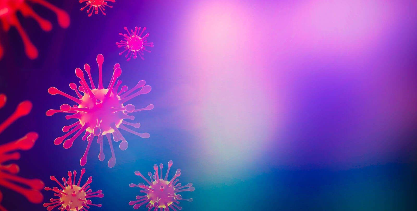Digital illustration of multiple pink and red virus-like particles with spikes against a purple and blue gradient background.