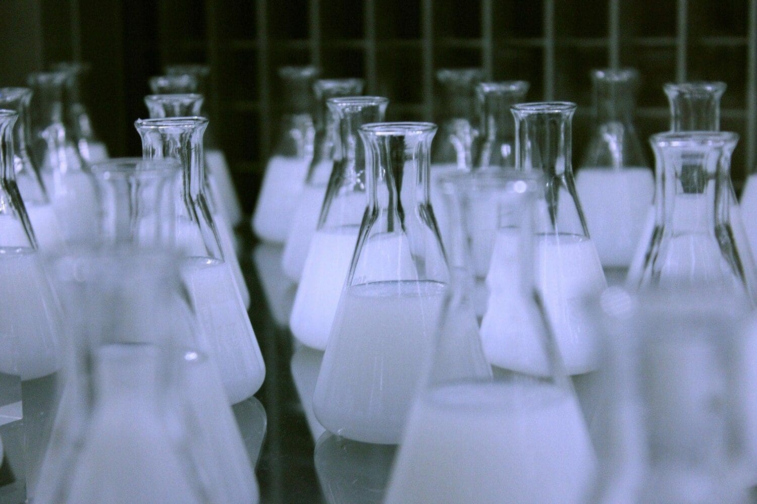 Rows of clear glass Erlenmeyer flasks, each containing a white opaque liquid, on a reflective surface in a lab.