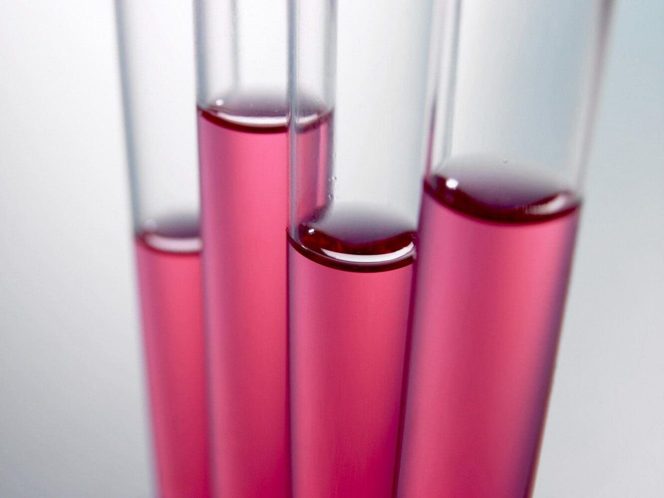 Four clear glass test tubes filled with bright pink liquid, showing the meniscus.
