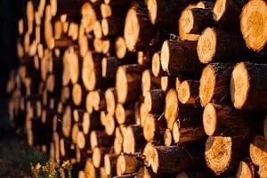 timber