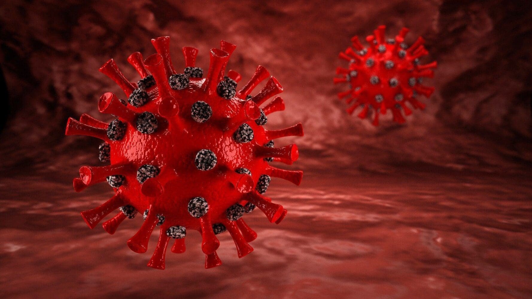 Two red, spiky virus particles against a dark red, textured background. One is in focus in the foreground, the other blurred in the background.
